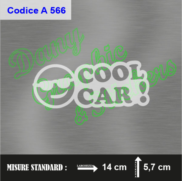 A 566 COOL CAR