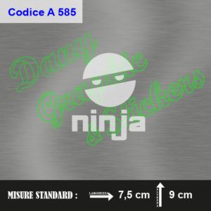 A 585 NINJA