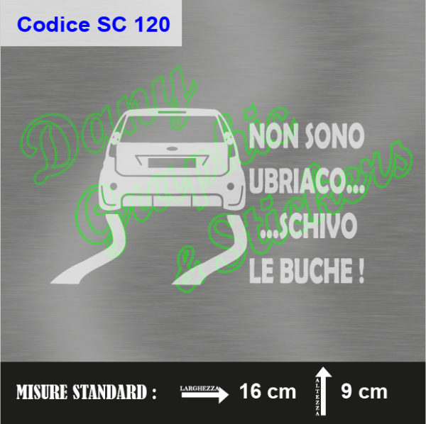 SC 120 SCHIVO LE BUCHE FORD FIESTA MK6